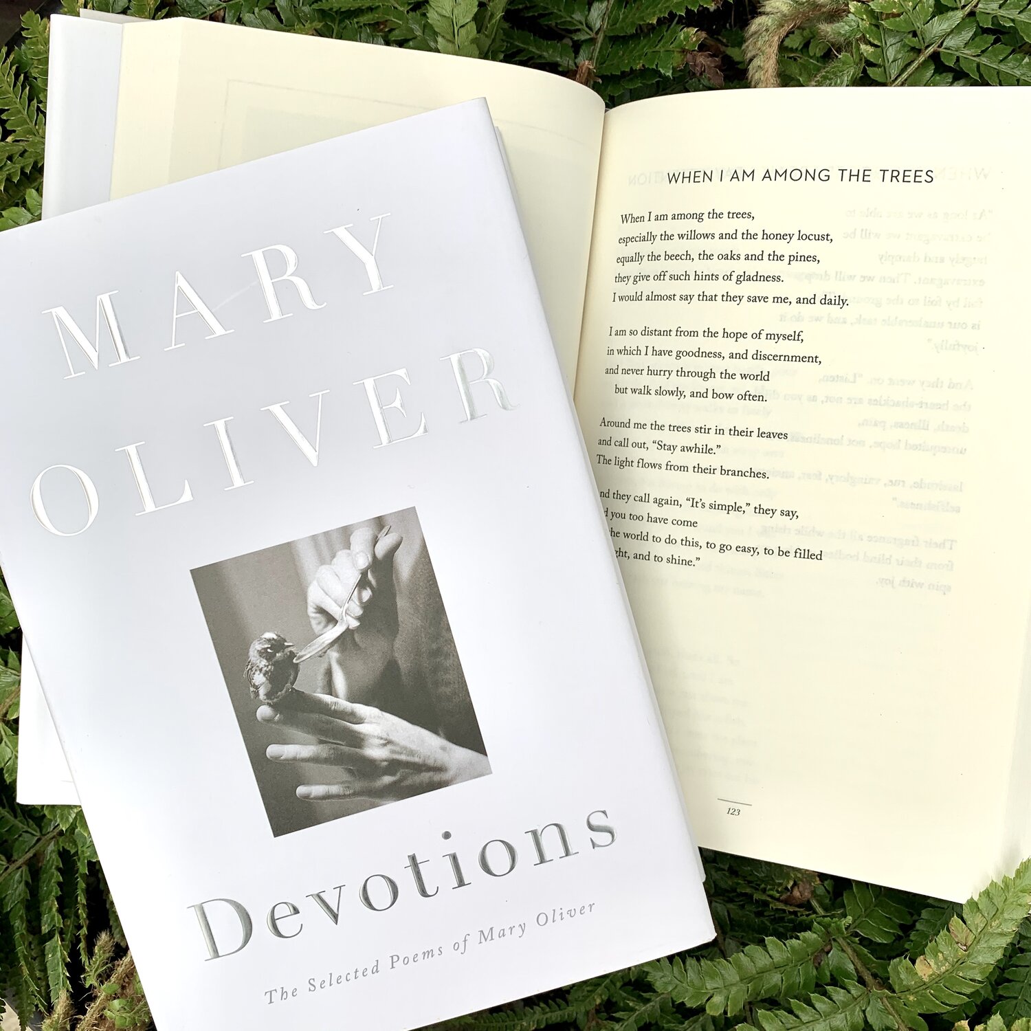 mary oliver book of essays
