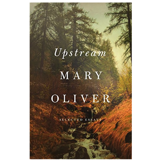 mary oliver upstream review