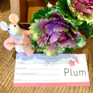 $25 Gift Certificate for Plum Bainbridge